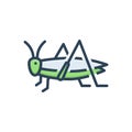 Color illustration icon for Grasshopper, bizarre and locust