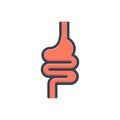 Color illustration icon for Intestine, appendix and human