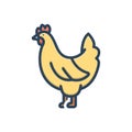 Color illustration icon for Poultry, hen and chicken