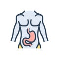 Color illustration icon for Stomach, belly and anantomy