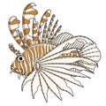 Color illustration lionfish. EPS10