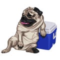 Color illustration of relaxing pug.