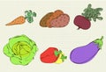 Color illustration of six vegetables on a sheet of student noteb Royalty Free Stock Photo