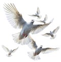 Color illustration of white doves flying on white background. AI generative Royalty Free Stock Photo