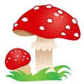 Color image of beautiful fly agaric on white background. Mushrooms. Vector illustration for kids Royalty Free Stock Photo
