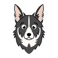 color image of border collie puppy dog head. Royalty Free Stock Photo