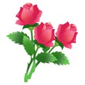 Color image of bunch of scarlet roses on white background. Flowers. Vector illustration