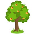 Color image of cartoon apple tree on white background. Fruits and plants. Vector illustration for kids