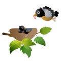 Color image of cartoon bird nest with nestlings or chicks on white background. Vector illustration for kids