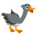 Color image of cartoon goose on white background. Farm animals. Vector illustration for kids Royalty Free Stock Photo