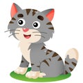 Color image of cartoon gray striped cat on white background. Pets. Vector illustration for kids Royalty Free Stock Photo