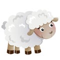 Color image of cartoon little sheep on white background. Farm animals. Vector illustration for kids