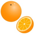 Color image of cartoon oranges on white background. Fruits. Vector illustration Royalty Free Stock Photo