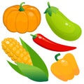 Color image of cartoon pumpkin, zucchini, corn, pepper and red pepper on white background. Vegetables. Vector illustration set for