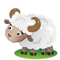 Color image of cartoon sheep on white background. Farm animals. Vector illustration for kids