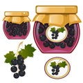 Color image of jar of blackcurrant jam. Currant. Berries and fruits. Food and cooking. Vector illustration