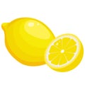 Color image of lemon on white background. Fruits. Vector illustration