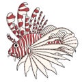 Color image lionfish. EPS10 Royalty Free Stock Photo