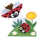 Color image of little ladybugs on white background. Insects and bugs. Vector illustration for kids Royalty Free Stock Photo