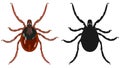 Color image of the tick and its silhouette. Vector illustration.