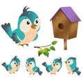 Color images of cartoon bird with birdhouse on white background. Vector illustration set for kids