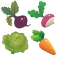 Color images of cartoon cabbage, carrot, beet and radish on white background. Vegetables. Vector illustration set for kids