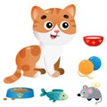 Color images of cartoon cat with feed and toys on white background. Pets. Vector illustration set for kids Royalty Free Stock Photo