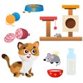 Color images of cartoon cat with feed and toys on white background. Pets. Vector illustration set for kids Royalty Free Stock Photo