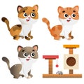 Color images of cartoon cats on white background. Pets. Vector illustration set for kids