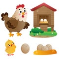 Color images of cartoon chicken or hen with chick, coop and eggs on white background. Farm animals. Vector illustration set for Royalty Free Stock Photo