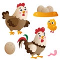 Color images of cartoon chicken or hen with rooster, chick and eggs on white background. Farm animals. Vector illustration set for Royalty Free Stock Photo