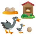 Color images of cartoon goose with gosling on white background. Farm animals. Vector illustration set for kids Royalty Free Stock Photo