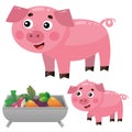 Color images of cartoon pig with piggy on white background. Farm animals. Vector illustration set for kids