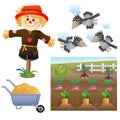 Color images of cartoon stuffed or scarecrow with crows on white background. Vegetable garden. Vector illustration set for kids