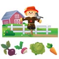 Color images of cartoon stuffed or scarecrow with harvest on white background. Vegetable garden. Vector illustration set for kids Royalty Free Stock Photo