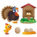 Color images of cartoon turkey with nestling on white background. Farm animals. Vector illustration set for kids Royalty Free Stock Photo