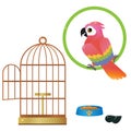 Color images of colorful parrot and bird cage on white background. Pets. Vector illustration set for kids