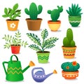 Color images of house plants with watering cans on white background. Vector illustration set Royalty Free Stock Photo