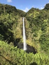 Akaka Falls Hawaii United States Royalty Free Stock Photo