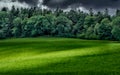 Landscape with a meadow and a forest with dark clouds of the rain to come and a sunshine stripe on the green grass Royalty Free Stock Photo