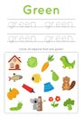 Learning green color for preschool kids. Writing practice.