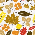 Color leaves icon seamless pattern