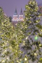 The color light installations of tree spruces near Red Squre in winter evening