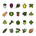 Color line icon set of Vegetables. Pixel perfect icons.