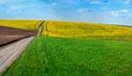 Colors of arable land and rapeflowerfield and green wheat landscape panoramic
