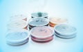 Color liquid in old plastic petri dishes Royalty Free Stock Photo