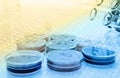 Color liquid in old plastic petri dishes.toned Royalty Free Stock Photo