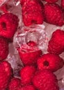 Collection of dark red fresh raspberries on clean ice cubes