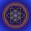 Color mandala sacred geometry illustration