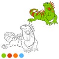 Color me: iguana. Cute green iguana smiles. Royalty Free Stock Photo